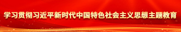 小鸡巴干大骚逼视频学习贯彻习近平新时代中国特色社会主义思想主题教育